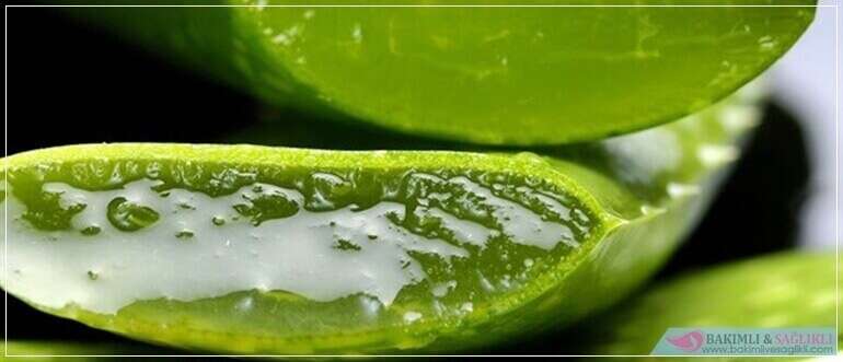 Hızlı Saç Uzatma Aloe Vera Kürü